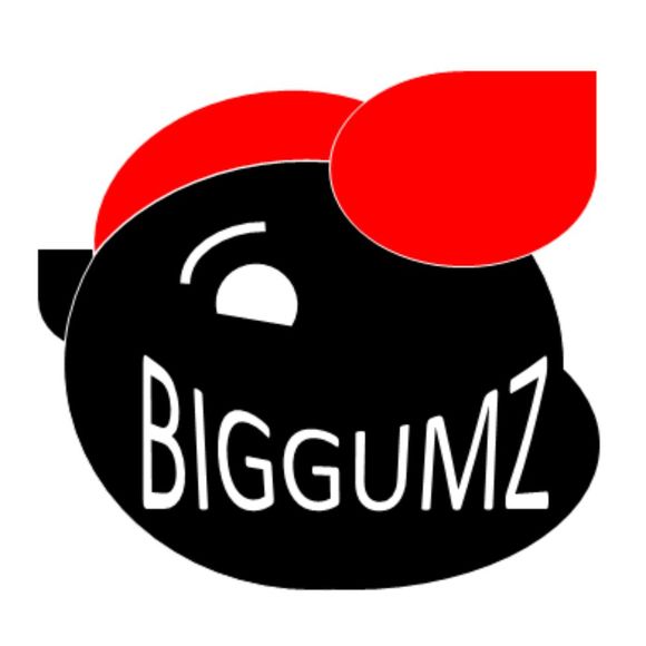 mrbiggumz